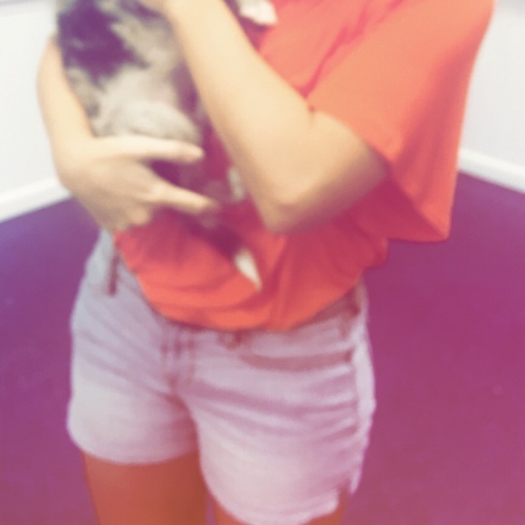 Meet your Posher, Cody - Picture 4 of 4